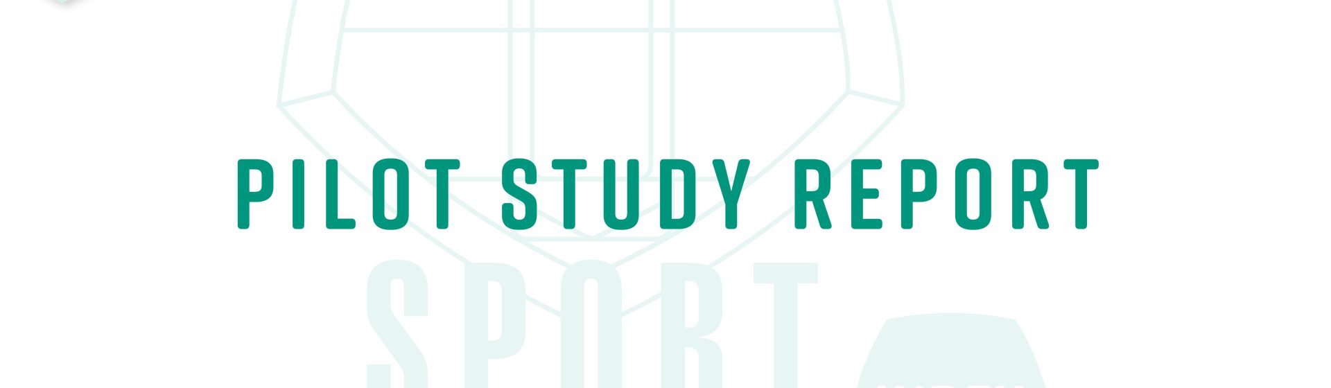 Pilot Study Report header